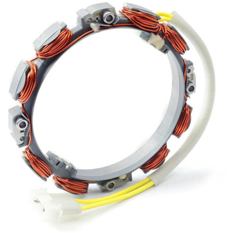Alternateur [Pièce d'origine] pour moteurs Briggs & Stratton. Références : 696579, 543277, 613277