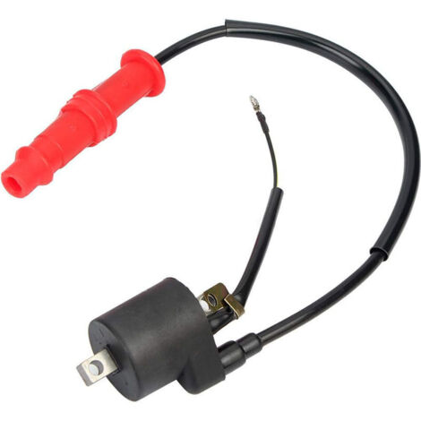Bobine d'Allumage Polaris 3085228 3085564 pour Sportsman 500 96-2002 - Quad - Haute Tension - Pièce d'Origine (1/4)