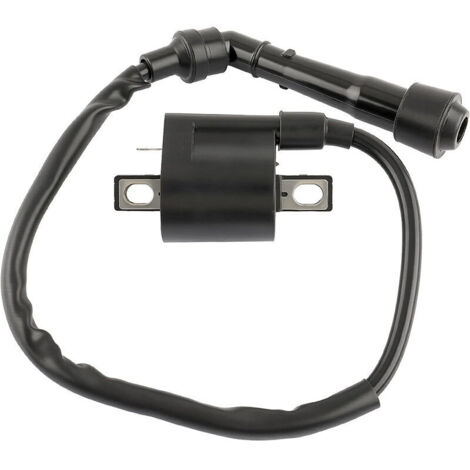 Bobine d'allumage haute tension Yamaha 3YF-82370-00-00, compatible avec les modèles YFM660 Grizzly 660 fabriqués en 2002, 2003, 2004, 2005, 2006, 2007 et 2008. Pièce de rechange d'origine. (1/4)