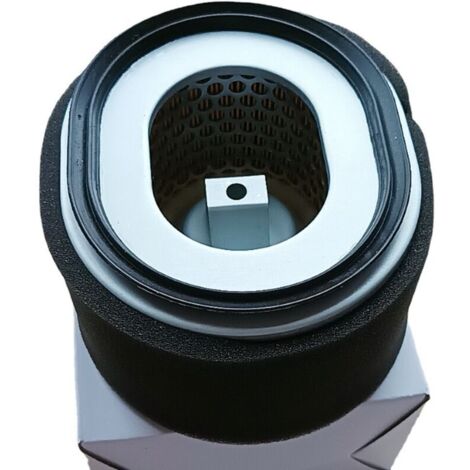Filtre à air d'origine YANMAR pour modèle L100N, références : 114210-12590 / 114211-12510. Élément filtrant. (1/2)