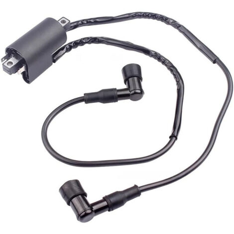 Bobine d'allumage haute tension Yamaha 3LC-82310-01-00, compatible avec les moteurs YFZ350 350cc de 1987 à 2004. (1/4)