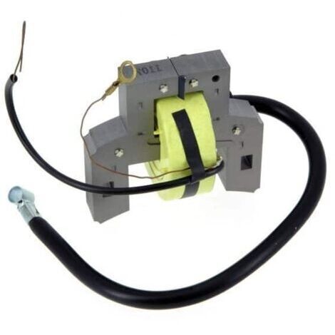 Bobine d'allumage BRIGGS ET STRATTON 298316 - 395490 - 697037 (1/5)