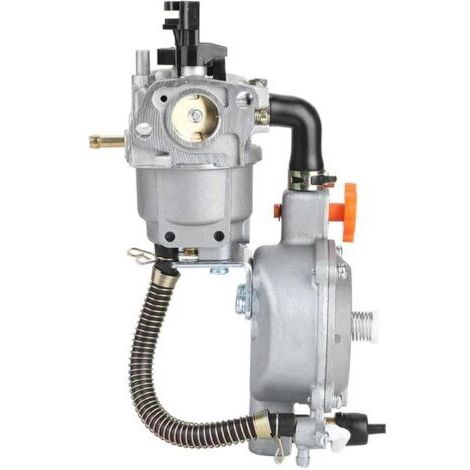 Carburateur GPL / gaz naturel compatible GX160 – moteur multi-carburant (1/5)