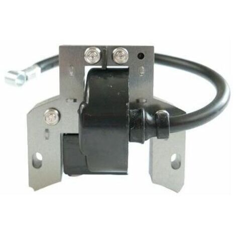 Bobine allumage Briggs et Stratton 591420 (1/4)