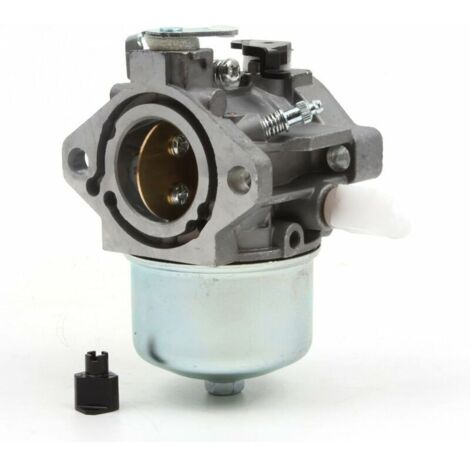 Remplacement du carburateur pour les moteurs 699831 694941 pour tondeuses à gazon 283702 (1/5)