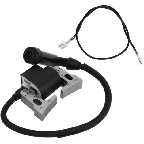 FOREHILL Accessoire de bobine d'allumage professionnel 20B 79430 H1 de remplacement pour moteur Robin modèle EX35 EX40 (1/4)
