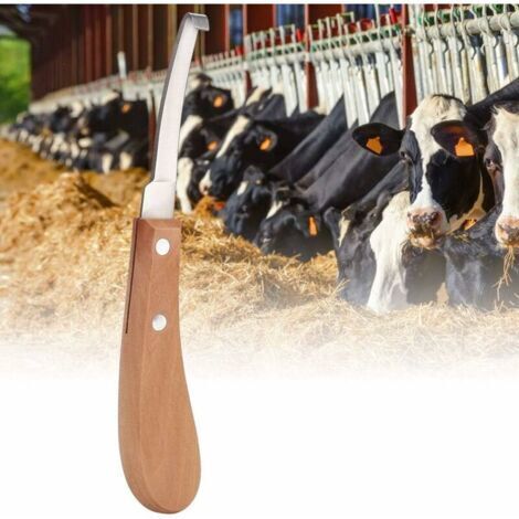 Couteau à Sabot de bovin Durable, Coupe de Sabot en Forme de Lame Droite, Sabot de Cheval de Mouton Facile à Utiliser pour la Ferme-Straight Right Hand (1/4)