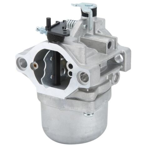 SALALIS Carburateur Pour Briggs Stratton 799728 498027 499161 (1/5)
