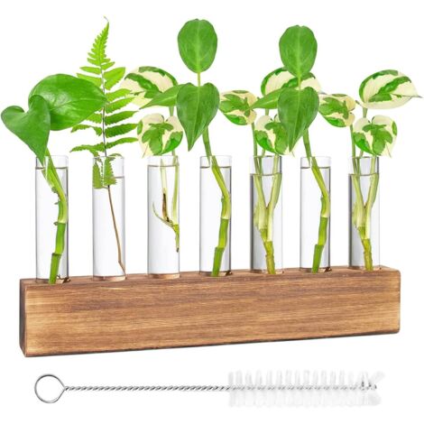 Hydroponische Anzuchtstation – Glasvase mit Holzständer, Bürste und 8 Reagenzgläsern für Pflanzen – Dekoration