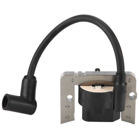 Bobine d'allumage, bobine d'étincelle ABS anti-usure en fer 36344 pour l'entretien