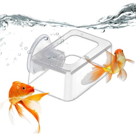 Dispensateur Alimentaire Fixe Anti-dérive - Aquarium Fish Food Feeder - Fish Fheders Pour Nourrir Des Aliments Flottants Ou Des Aliments Squameux, Mais Pas Adapté Pour Nourrir Les Aliments En Percussi (1/5)