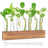 Hydroponic Propagation Station - Glass Vase with Wooden Stand, Brush and 8 Test Tubes for Plants - Decoration