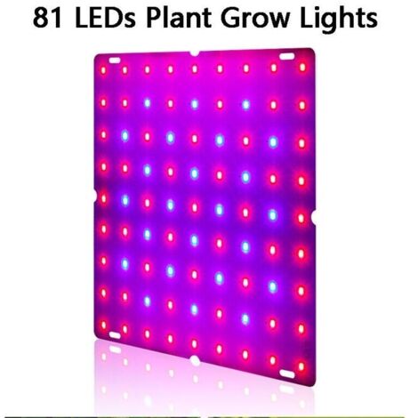 Panneau lumineux de croissance à LED à spectre complet pour lampe de floraison de plantes d'intérieur - 169 LED rouges et bleues