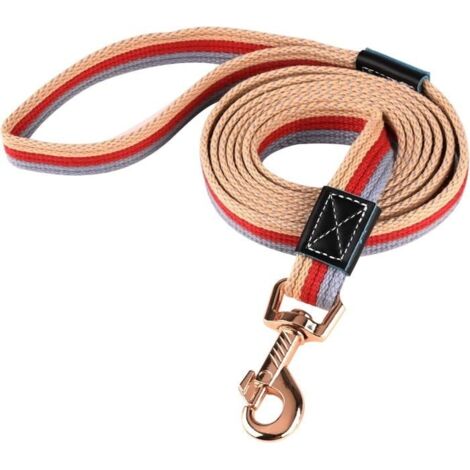 Laisse de dressage pour chien durable de 2 m, antidérapante, adaptée aux chiens de petite, moyenne et grande taille (rouge)