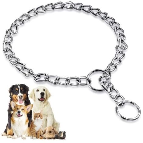 (Métal)Collier pour chien - Métal - Acier inoxydable - 3 mm x 55 cm - Durable - Facile à contrôler
