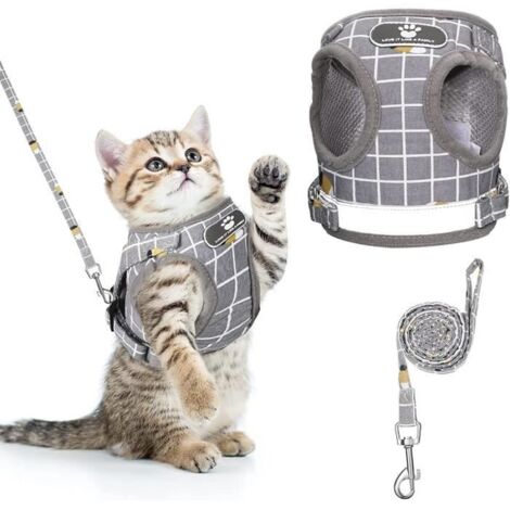 (Rayures)Harnais pour Chat - Anti-Évasion - Réglable - Gilet à Rayures - Taille S - Polyester Respirant