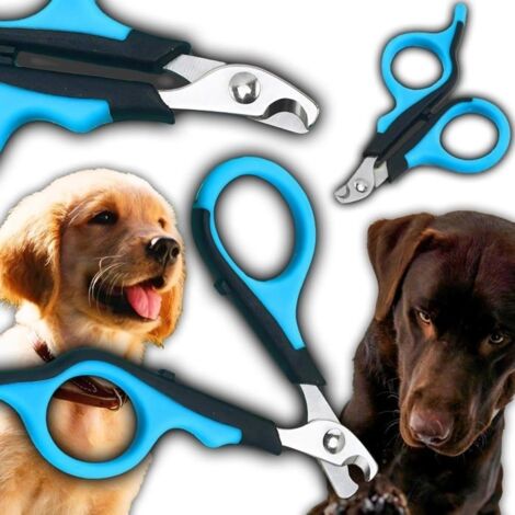 Ciseaux à griffes pour chiens, chats, lapins, cochons d'Inde, toilettage des griffes pour animaux de compagnie, très facile et sûr (1/5)