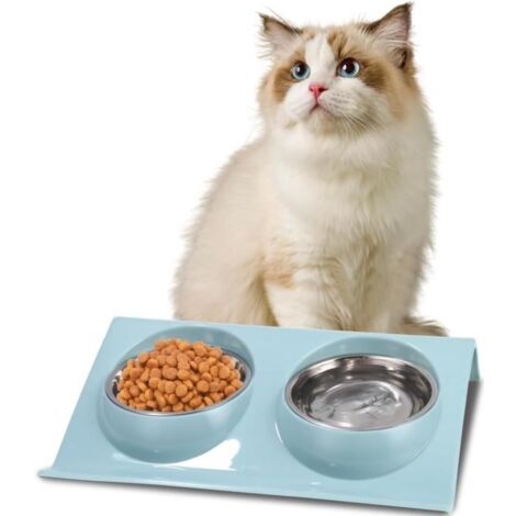 Gamelle Chat,3-en-1 Gamelle Acier Inoxydable Gamelles Chats,Bol pour Animaux Set Inclinable à 15° Anti-Vomissements,Antidérapante (1/4)