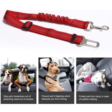 Ceinture de sécurité pour animal - Réglable - Rouge - Nylon - 72 cm (1/4)