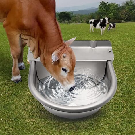 Abreuvoir automatique en acier inoxydable 4L – Vanne à flotteur en laiton – Trous de vidange – Pour chevaux, vaches, cochons, chèvres
