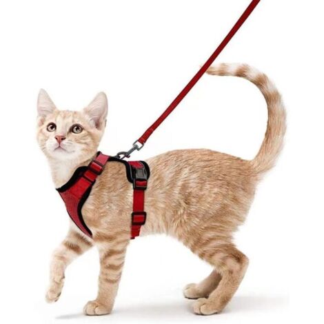 Harnais Chat Petit Chien Laisse Harnais Chaton Réglable (rouge S) Collier Harnai Chat Refléchissant Gilet Respirant pour Lapin, Chat Européen, Maine Coon, Persan, Attache Dessus avec Laisse