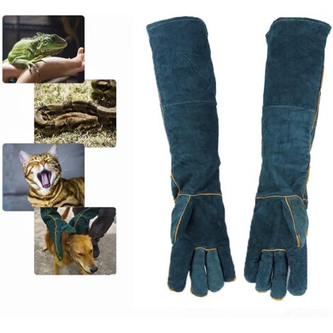 Lauwexe – Gants de manutention 60 cm en cuir pour manipulation d'animaux – Doublure coton – Protection bras et mains – Vétérinaires, soigneurs, éleveurs (1/5)