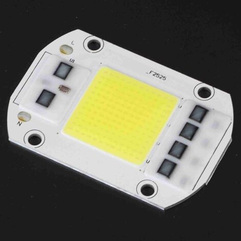 Puce LED COB 220V 100W Blanc Froid - Source Lumineuse Haute Puissance pour Intérieur et Extérieur (1/5)