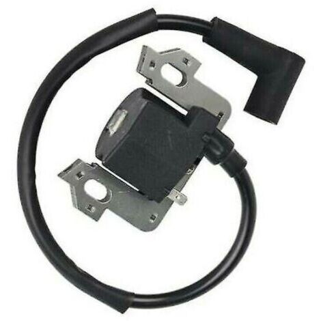 Bobine d'allumage pour moteur Honda GCV135 GCV160 GCV190 GSV160 - Haute performance (1/5)