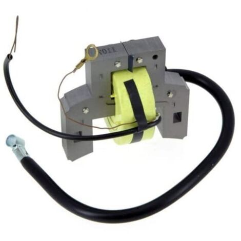 Bobine d'allumage Briggs et Stratton - remplace 298316, 395490, 697037 - pour moteurs 5 à 13 ch (1/5)