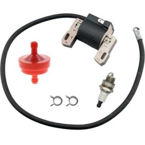 Bobine d'allumage Briggs Stratton 398811 pour moteurs monocylindres 7HP-16HP horizontaux et verticaux (1/5)