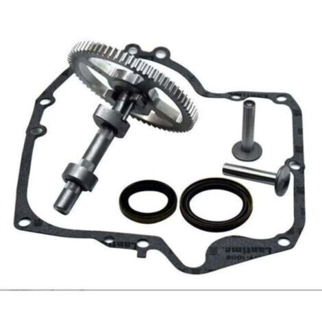Arbre à Came Briggs & Stratton Kit de Remplacement 793880 793583 avec Joints (1/4)