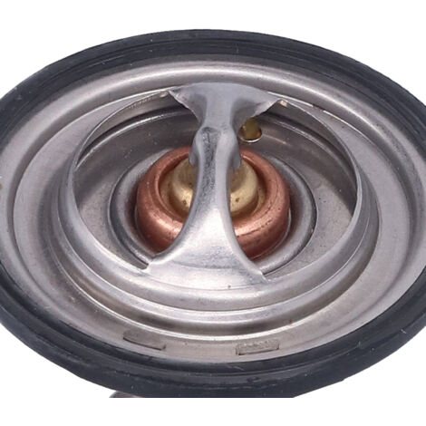 Thermostat moteur 9091603089 accessoire de remplacement pour Land Cruiser/Prado (1/5)