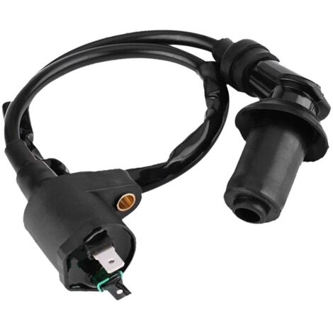 Bobine d'ignition pour moteur GY6 50CC 125CC 150CC Scooter Moto et Moto Vert Noir (1/5)
