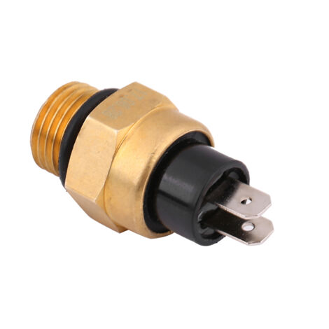 Thermostat de Ventilateur pour Moto BJ250 et BJ300GS (1/5)