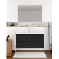 Ensemble de salle de bain Ibiza avec 2 tiroirs - 8 couleurs différentes - 15 dimensions - Avec meubles, lavabo et miroir - Graphite 120x45Cm 1 vasque