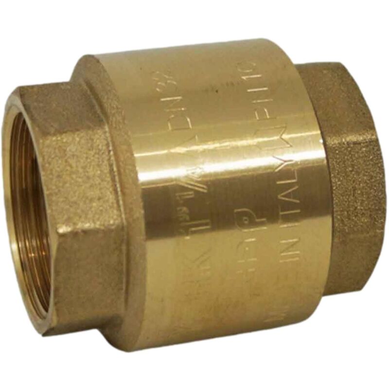 Clapet Anti-Retour à Boule Filetée 11/4 – Fonte PN16 Pour Eau Usée Et Applications Industrielles