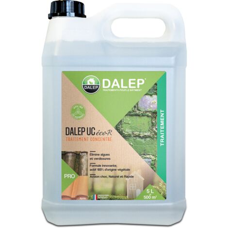 Dalep – Traitement éco·R concentré pour surfaces extérieures – Bidon 5 L – Élimine lichens, algues et champignons – Protection longue durée