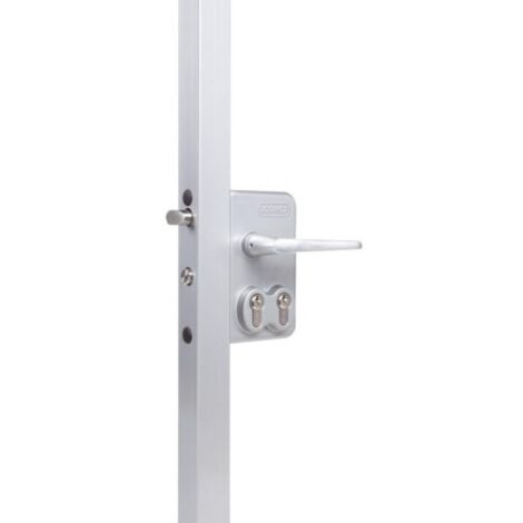 Serrure de portail à double cylindre européen pour profil de 40 mm - LOCINOX