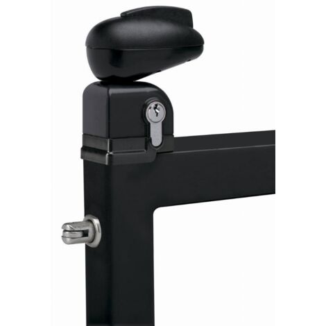 Locinox – Serrure Twist pour portillon de piscine – Acier inoxydable – Pêne à roulette réversible – Épaisseur 40 mm – Résistante aux intempéries (1/7)
