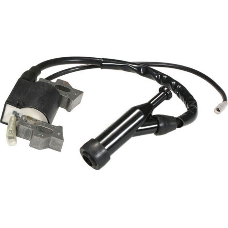 Module De Bobine D'Allumage Pour Honda Gx110 Gx120 Gx140 Gx160 Gx200