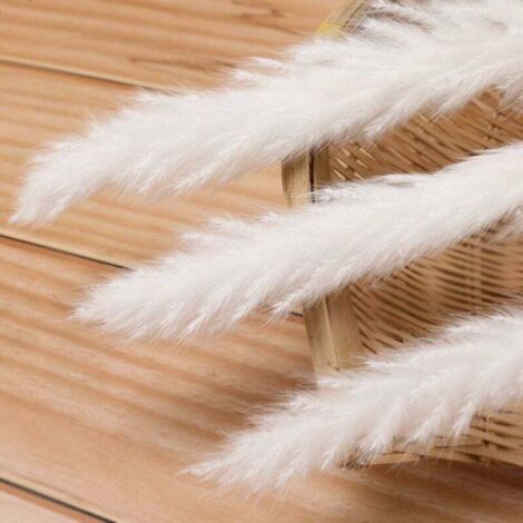 30 pcs Herbe de la Pampa, 58 cm Naturel Pampa Fleur Bouquet de Fleurs ...
