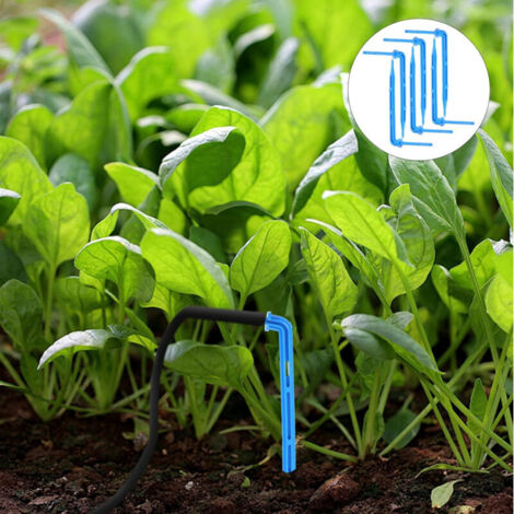 50 goutteurs automatiques pour arrosage des plantes–Outils d’irrigation goutte-à-goutte pour jardin, balcon, intérieur/extérieur, installation rapide (1/5)