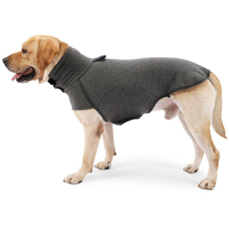 Pull en peluche à col montant pour animaux de compagnie, confortable et chaud (1/5)