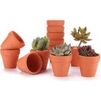 6.5CM 12pcs Pot de Succulent en Terre pour Cactus Fleurs Plantes, Terracotta Pot Argile pour Cactus Succulent Plantes Fleur Décoration Horticole Mariage Fête Maison Jardin et Chambre
