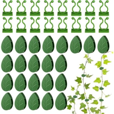Clips de Plantes Grimpantes 60Pcs Crochet de Fixation Murale Plante Grimpante Support Clips de Fixation Support Plante Grimpante (1/4)