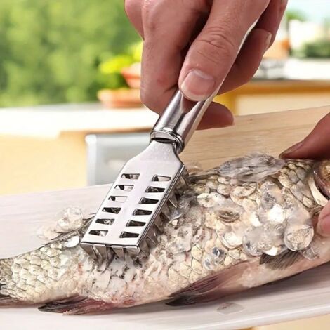 Grattoir à écailles de poisson dentelé multifonctionnel, 1 pièce, pour cuisine de restaurant (1/4)