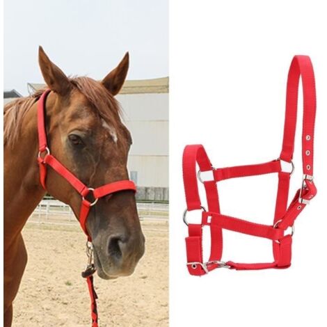 Licou de cheval Couleur rouge d'accessoires d'équitation de licol de contrôle de bride de cheval de sangle épaissie de (1/4)
