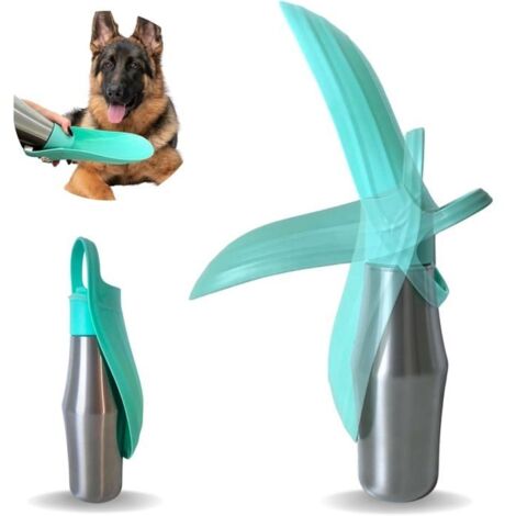 Gourde de Promenade pour Chiens 750 ML en Acier Inoxydable Non Toxique Garde l'eau fraiche Pendant 24h - Accessoire de Voyage pour (1/5)