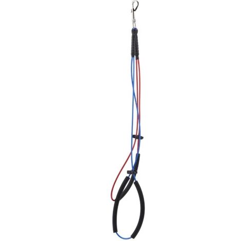 Boucle de toilettage pour chien et chat Cordes à double nud réglables pour baignoire à bras de table pour animaux de compagnie