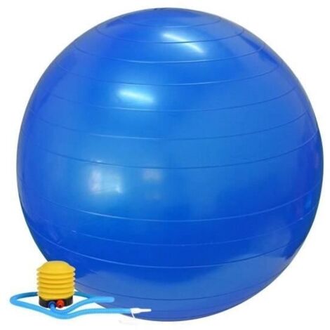 Swiss Ball Ballon de Fitness Gymnastique pour Pilates Yoga Renforcement du Dos avec Pompe Ballon - Bleu Diamètre 65 cm Taille S